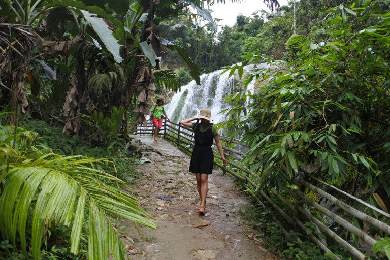 dsc-2604-768x512 dsc-2604-768x512